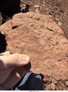232 a2q. Utah -  Mineral Canyon hike - close-up of rock