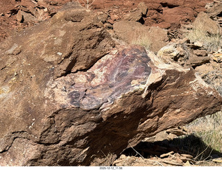 241 a2q. Utah -  Mineral Canyon hike - purple rock