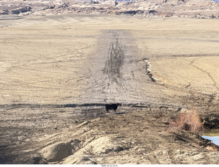 298 a2q. aerial - Utah - canyonlands - Temple Mountain