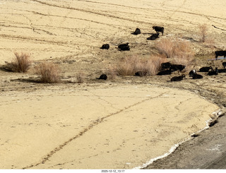 303 a2q. aerial - Utah - canyonlands