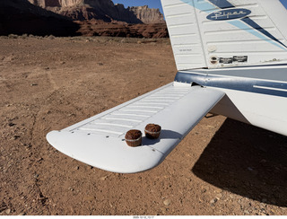 305 a2q. Utah - Hidden Splendor - muffins for lunch