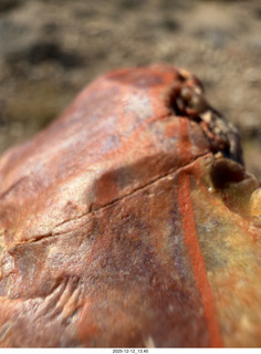 353 a2q. Utah - Hidden Splendor hike- rock close-up