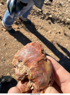 355 a2q. Utah - Hidden Splendor hike - rock close-up