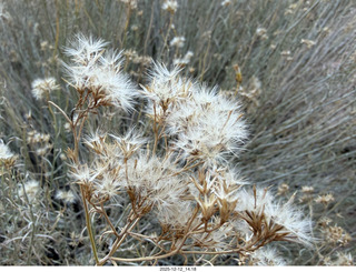 416 a2q. Utah - Hidden Splendor hike