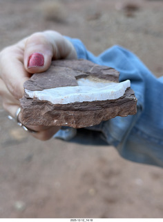 418 a2q. Utah - Hidden Splendor hike - rock close-up