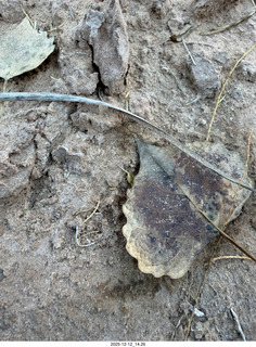 438 a2q. Utah - Hidden Splendor hike