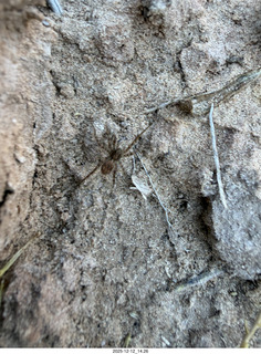 439 a2q. Utah - Hidden Splendor hike