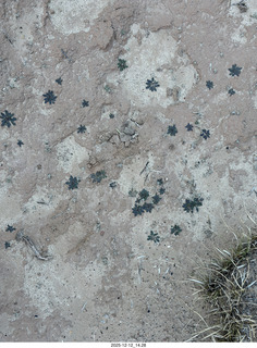 442 a2q. Utah - Hidden Splendor hike