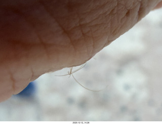 aerial - Utah - canyonlands
