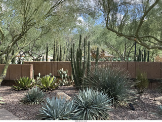 Phoenix - Musical Instrument Museum (MIM)