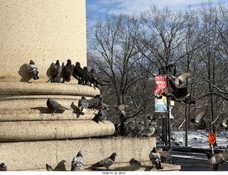 New York City - Manhattan - American Museum of Natural History