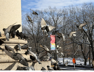 New York City - Manhattan - American Museum of Natural History