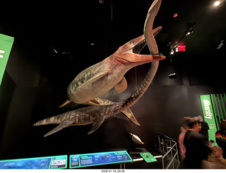 New York City - Manhattan - American Museum of Natural History