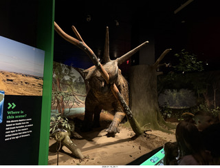 New York City - Manhattan - American Museum of Natural History - Impact, the End of the Dinosaurs