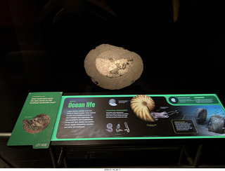 New York City - Manhattan - subway station