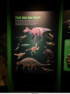 New York City - Manhattan - American Museum of Natural History - Impact, the End of the Dinosaurs