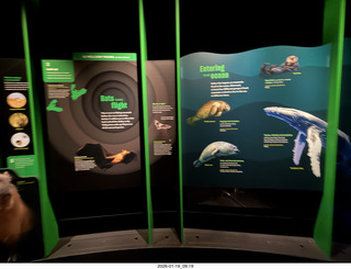 New York City - Manhattan - Empire Hotel lobby