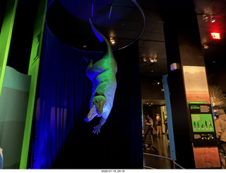 New York City - Manhattan - American Museum of Natural History