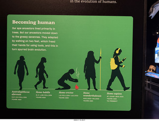 New York City - Manhattan - American Museum of Natural History