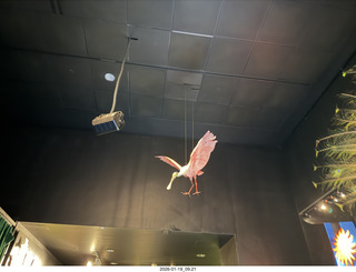 New York City - Manhattan - American Museum of Natural History