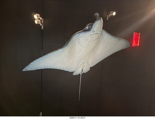 New York City - Manhattan - American Museum of Natural History - Impact, the End of the Dinosaurs