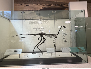 New York City - Manhattan - American Museum of Natural History - Impact, the End of the Dinosaurs