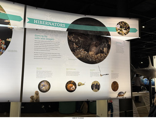 New York City - Manhattan - American Museum of Natural History