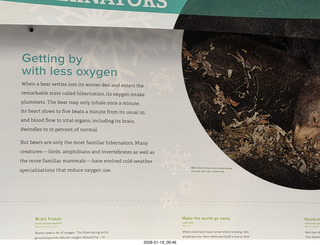 New York City - Manhattan - American Museum of Natural History