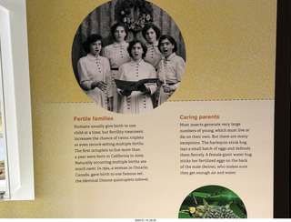 New York City - Manhattan - American Museum of Natural History