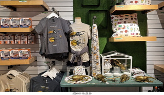 New York City - Manhattan - American Museum of Natural History