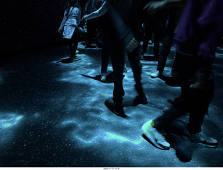 New York City - Manhattan - American Museum of Natural History - immersive