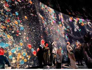 New York City - Manhattan - American Museum of Natural History