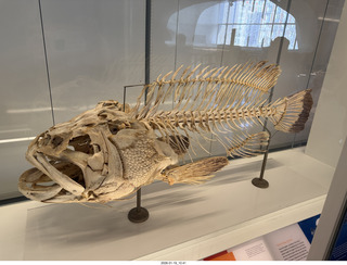 New York City - Manhattan - American Museum of Natural History