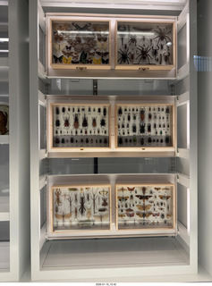 New York City - Manhattan - American Museum of Natural History