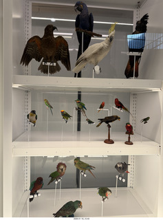 New York City - Manhattan - American Museum of Natural History