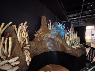 New York City - Manhattan - American Museum of Natural History