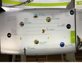 New York City - Manhattan - American Museum of Natural History