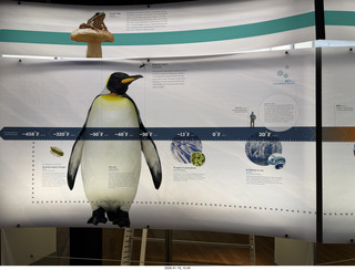 New York City - Manhattan - American Museum of Natural History