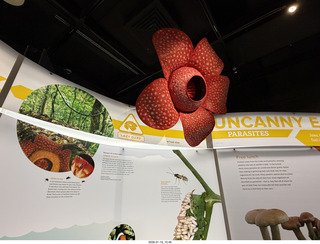 New York City - Manhattan - American Museum of Natural History