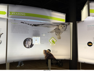 New York City - Manhattan - American Museum of Natural History