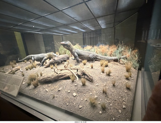 New York City - Manhattan - American Museum of Natural History