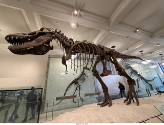 New York City - Manhattan - American Museum of Natural History