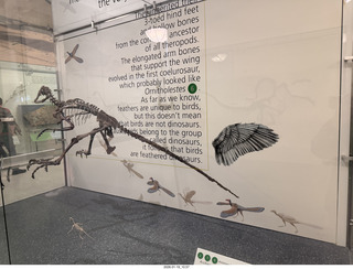 New York City - Manhattan - American Museum of Natural History