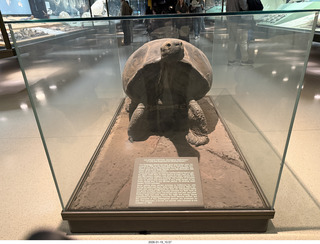 New York City - Manhattan - American Museum of Natural History