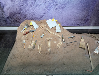 New York City - Manhattan - American Museum of Natural History