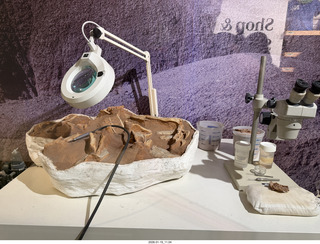 New York City - Manhattan - American Museum of Natural History