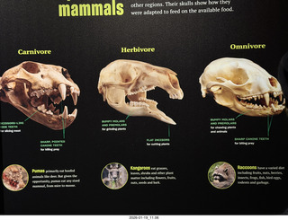 New York City - Manhattan - American Museum of Natural History