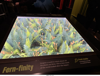 New York City - Manhattan - American Museum of Natural History