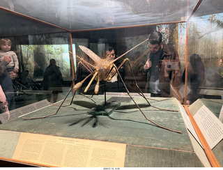 New York City - Manhattan - American Museum of Natural History