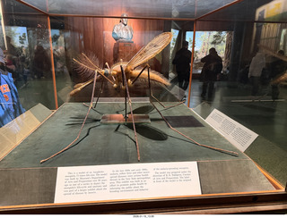 New York City - Manhattan - American Museum of Natural History  - Adam with rocket for godson Anthony